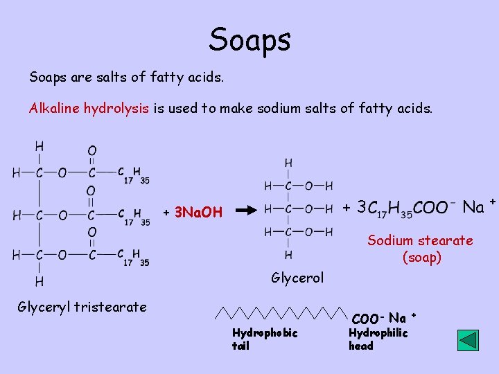 Acids Esters and Fats Alkanoic Acids Carboxylic Acids