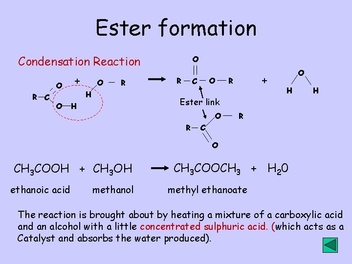 Ester formation Condensation Reaction O R C O + O R H O R