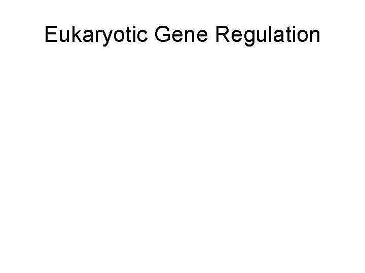 Eukaryotic Gene Regulation 