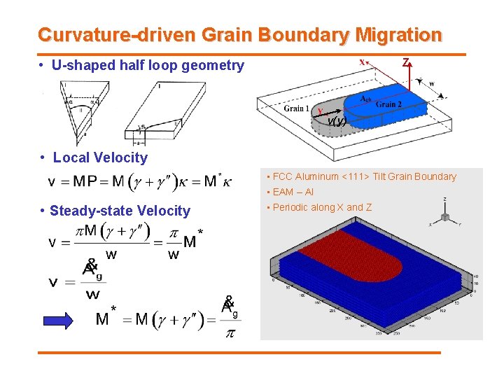 Curvature-driven Grain Boundary Migration Z • U-shaped half loop geometry v(y) • Local Velocity