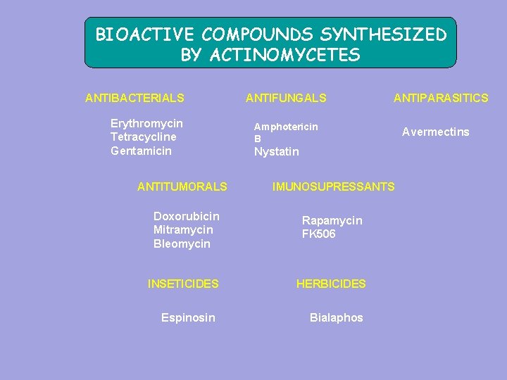 BIOACTIVE COMPOUNDS SYNTHESIZED BY ACTINOMYCETES ANTIBACTERIALS Erythromycin Tetracycline Gentamicin ANTITUMORALS ANTIFUNGALS Amphotericin B Nystatin