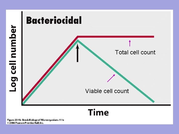 Total cell count Viable cell count 