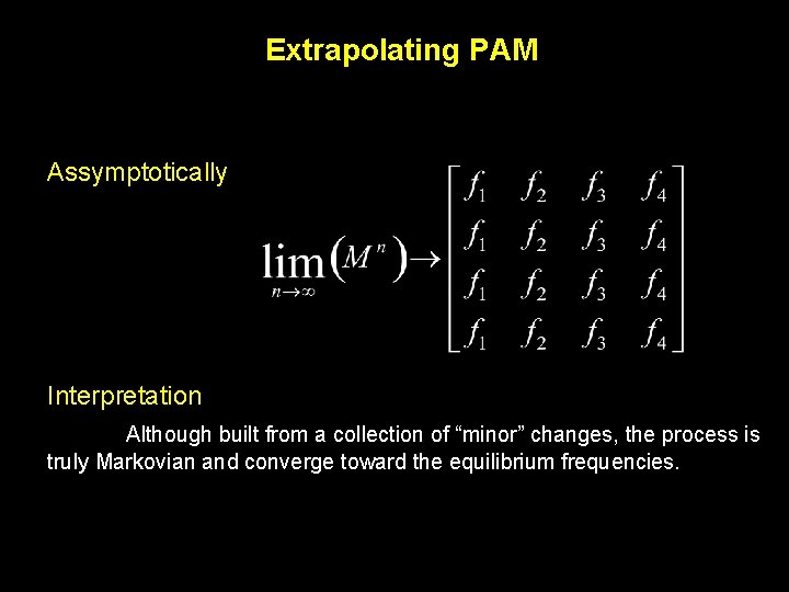 Extrapolating PAM Assymptotically Interpretation Although built from a collection of “minor” changes, the process