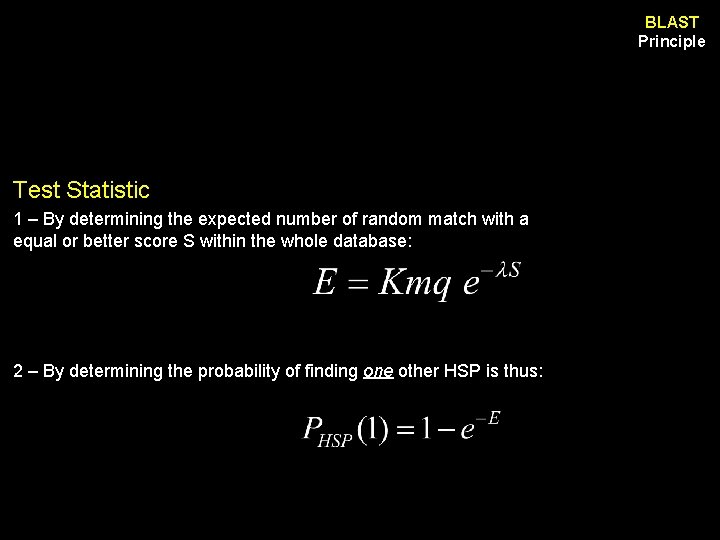 BLAST Principle Test Statistic 1 – By determining the expected number of random match