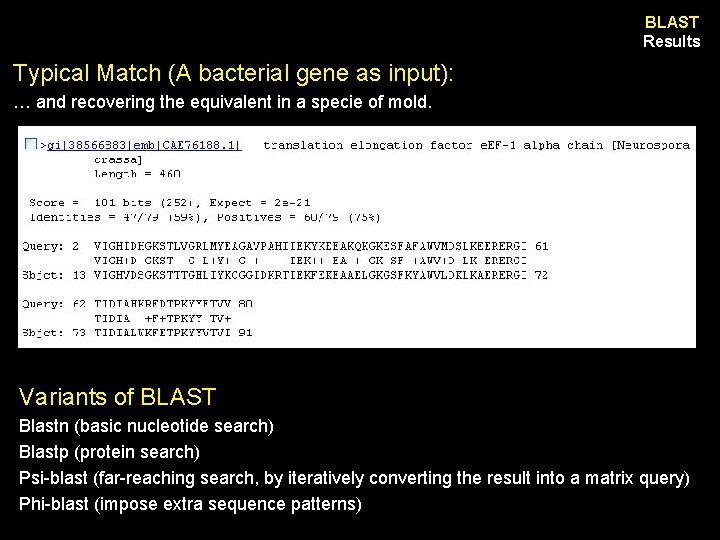 BLAST Results Typical Match (A bacterial gene as input): … and recovering the equivalent