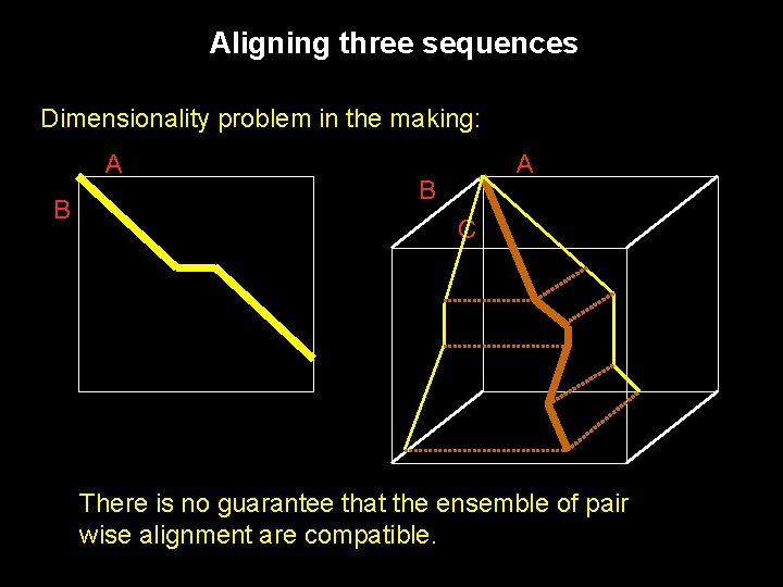 Aligning three sequences Dimensionality problem in the making: A B C There is no
