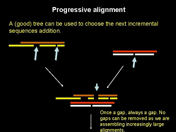 Progressive alignment A (good) tree can be used to choose the next incremental sequences