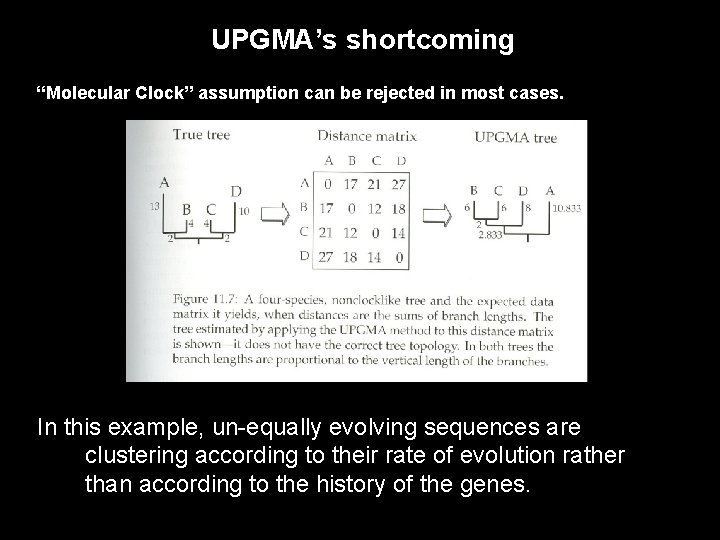 UPGMA’s shortcoming “Molecular Clock” assumption can be rejected in most cases. In this example,