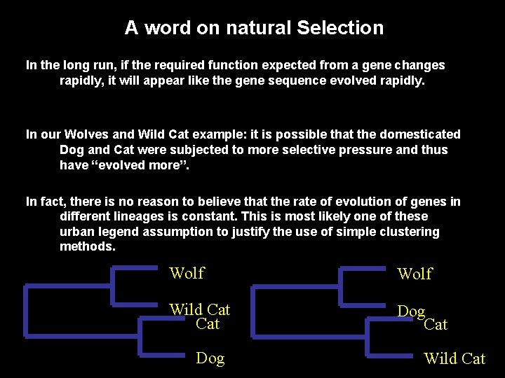 A word on natural Selection In the long run, if the required function expected