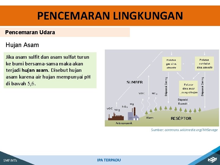 PENCEMARAN LINGKUNGAN Pencemaran Udara Hujan Asam Jika asam sulfit dan asam sulfat turun ke