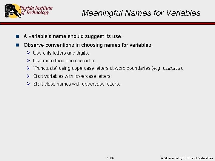 Meaningful Names for Variables n A variable’s name should suggest its use. n Observe