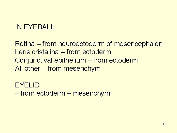 IN EYEBALL: Retina – from neuroectoderm of mesencephalon Lens cristalina – from ectoderm Conjunctival