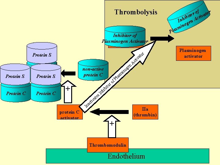 Thrombolysis Inhibitor of Aktivátor Plasminogen Activator plazminogenu Protein S VIIIa Protein C (AF) v