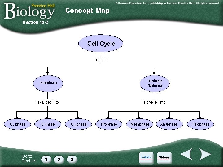 Concept Map Section 10 -2 Cell Cycle includes Interphase M phase (Mitosis) is divided