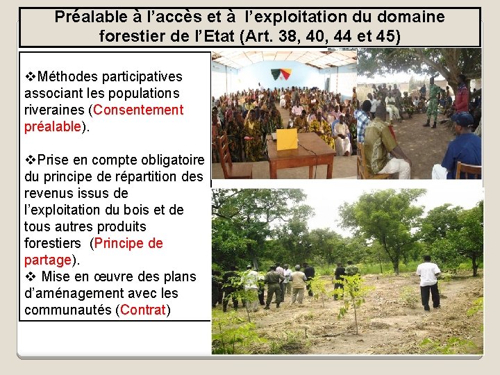 Préalable à l’accès et à l’exploitation du domaine forestier de l’Etat (Art. 38, 40,