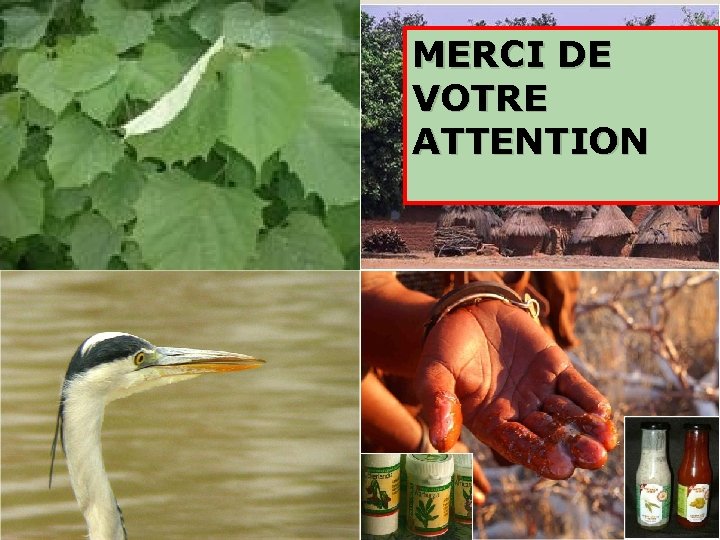 MERCI DE VOTRE ATTENTION 