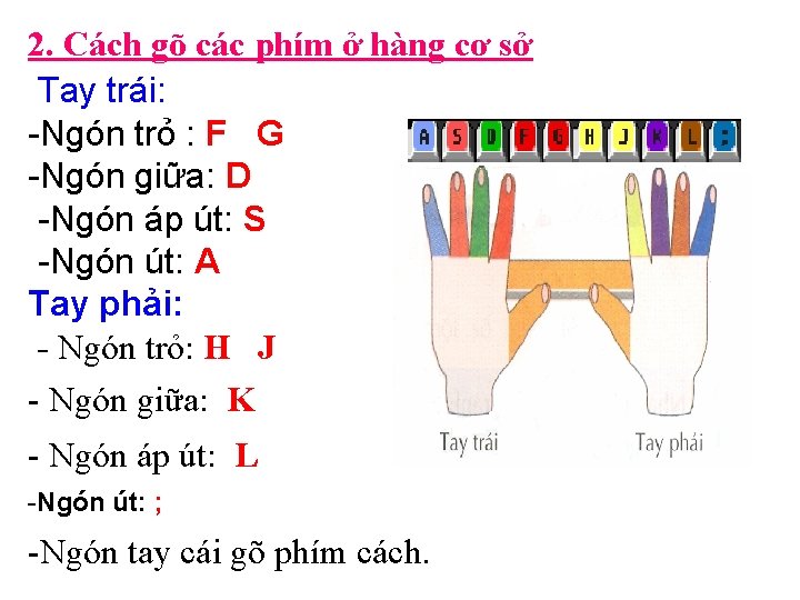 2. Cách gõ các phím ở hàng cơ sở Tay trái: -Ngón trỏ :