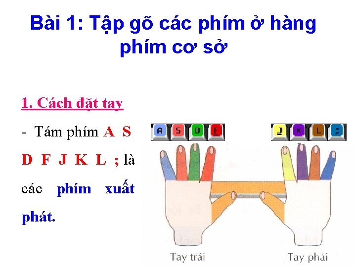 Bài 1: Tập gõ các phím ở hàng phím cơ sở 1. Cách đặt