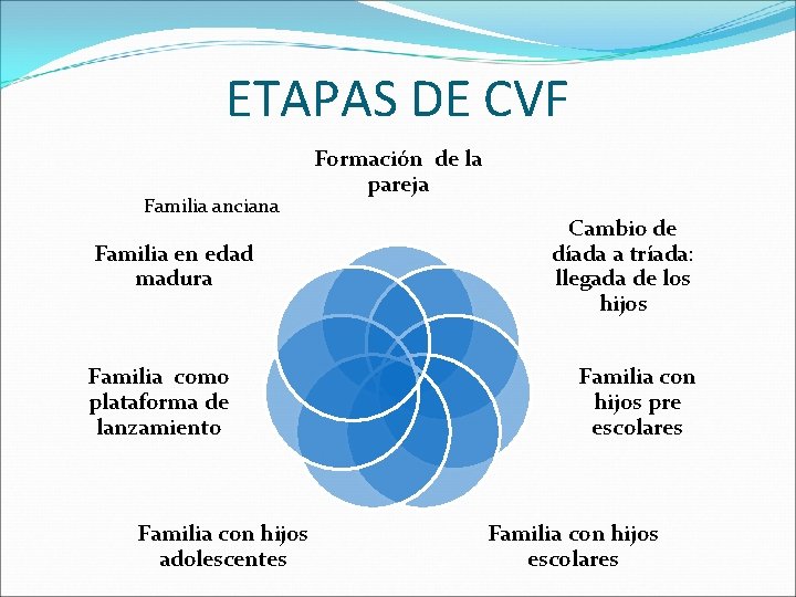 ETAPAS DE CVF Familia anciana Familia en edad madura Familia como plataforma de lanzamiento