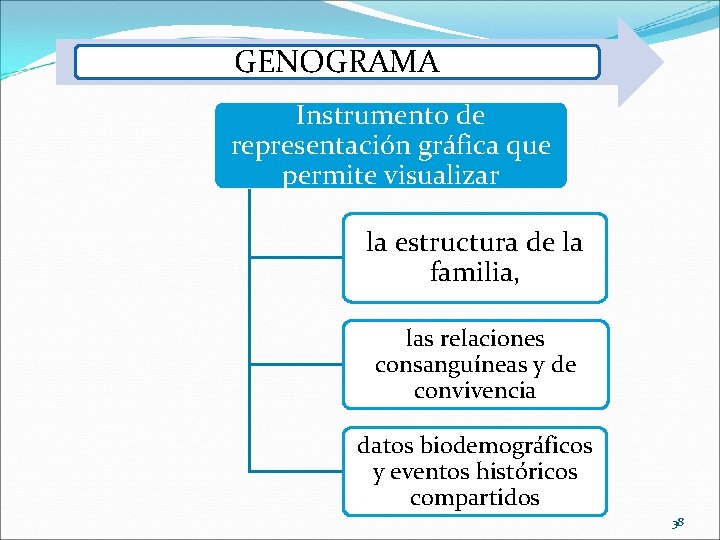 GENOGRAMA Instrumento de representación gráfica que permite visualizar la estructura de la familia, las