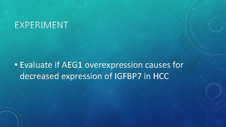 EXPERIMENT • Evaluate if AEG 1 overexpression causes for decreased expression of IGFBP 7