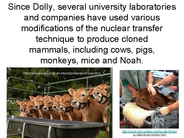 Since Dolly, several university laboratories and companies have used various modifications of the nuclear