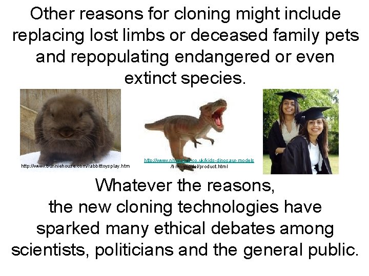 Other reasons for cloning might include replacing lost limbs or deceased family pets and