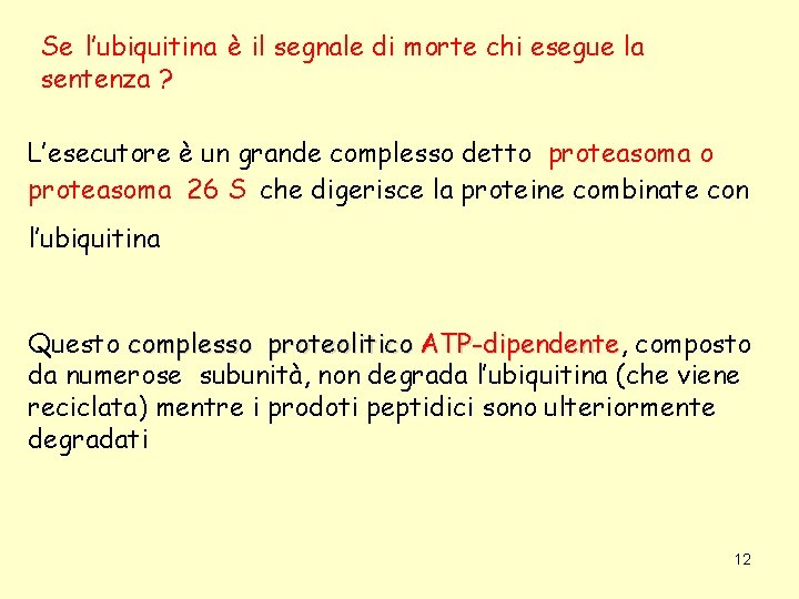 Se l’ubiquitina è il segnale di morte chi esegue la sentenza ? L’esecutore è