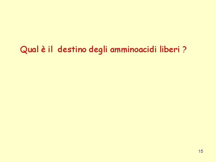 Qual è il destino degli amminoacidi liberi ? 15 