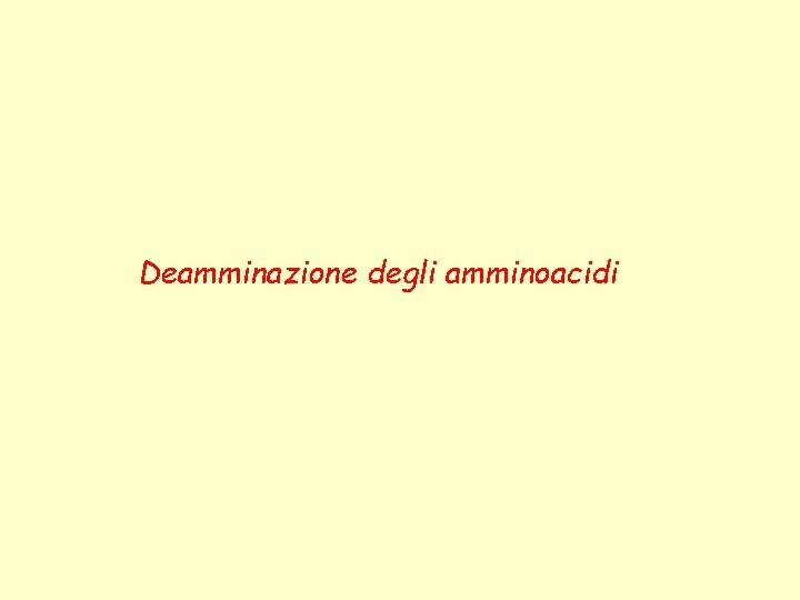 Deamminazione degli amminoacidi 