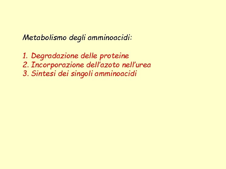 Metabolismo degli amminoacidi: 1. Degradazione delle proteine 2. Incorporazione dell’azoto nell’urea 3. Sintesi dei