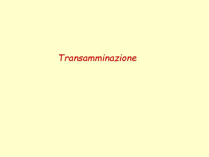 Transamminazione 