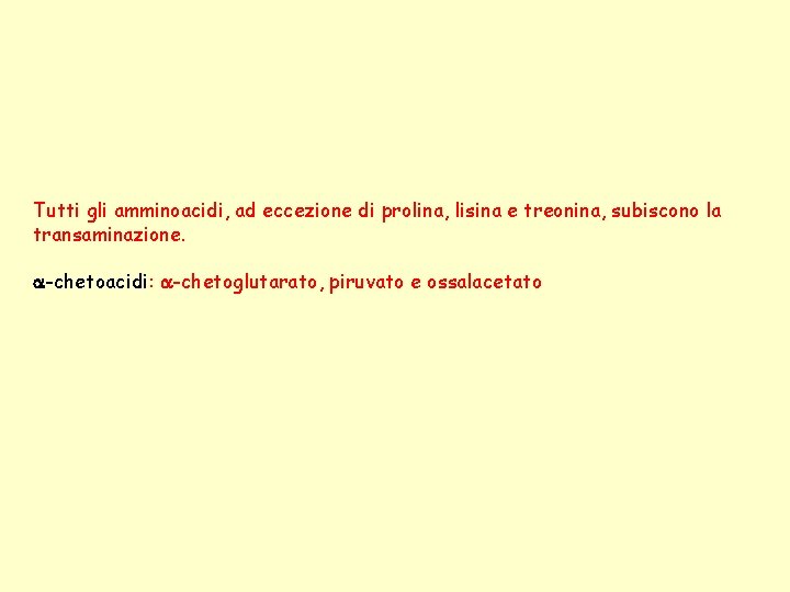 Tutti gli amminoacidi, ad eccezione di prolina, lisina e treonina, subiscono la transaminazione. a-chetoacidi: