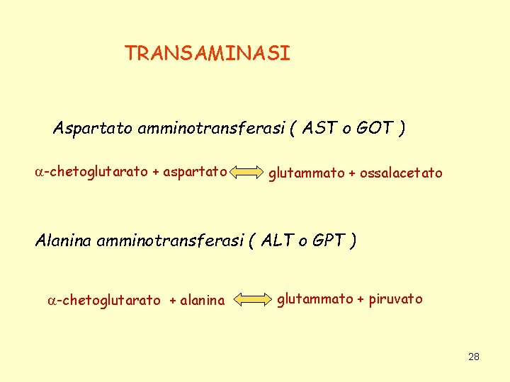 TRANSAMINASI Aspartato amminotransferasi ( AST o GOT ) -chetoglutarato + aspartato glutammato + ossalacetato