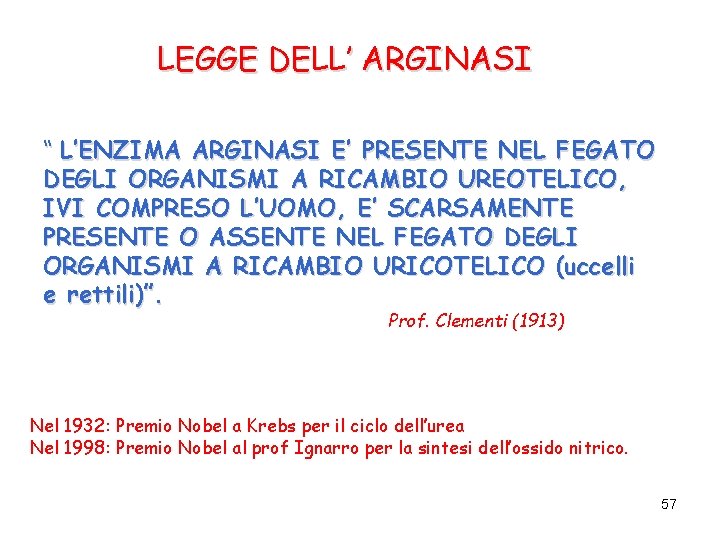 LEGGE DELL’ ARGINASI “ L’ENZIMA ARGINASI E’ PRESENTE NEL FEGATO DEGLI ORGANISMI A RICAMBIO