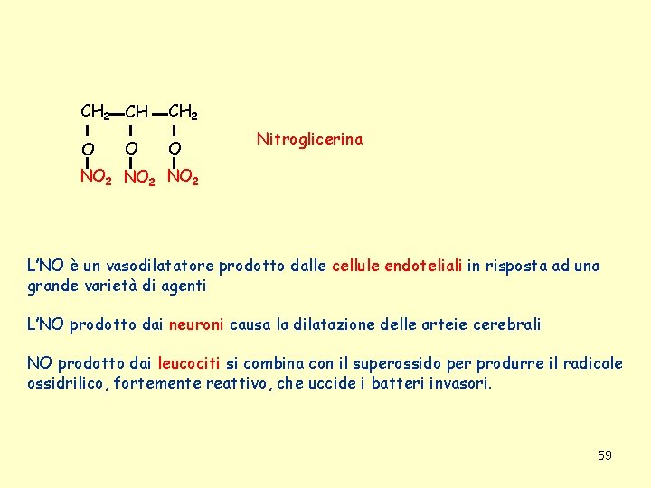 CH 2 CH O O CH 2 O Nitroglicerina NO 2 L’NO è un