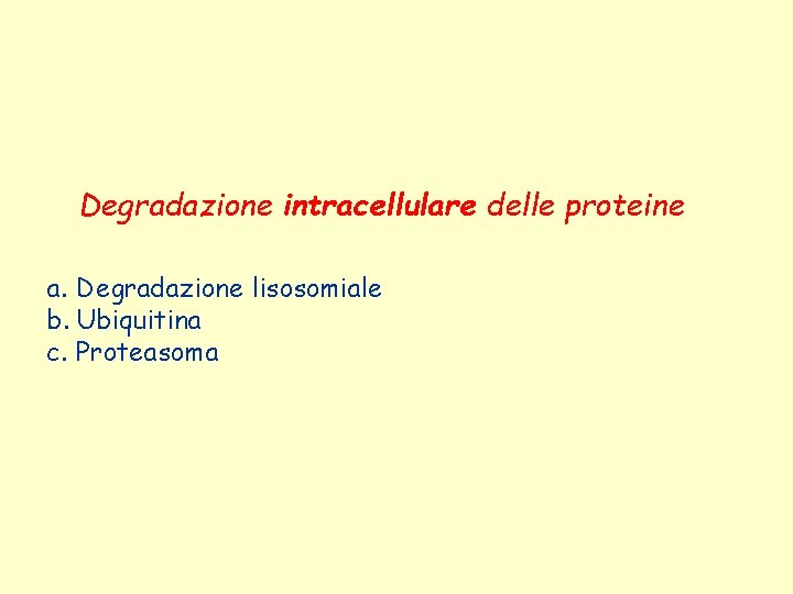 Degradazione intracellulare delle proteine a. Degradazione lisosomiale b. Ubiquitina c. Proteasoma 