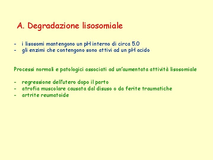 A. Degradazione lisosomiale - i lisosomi mantengono un p. H interno di circa 5.