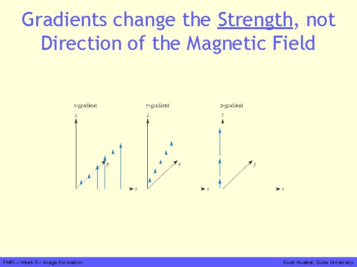 Gradients change the Strength, not Direction of the Magnetic Field FMRI – Week 3