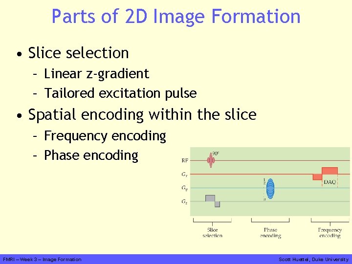 Parts of 2 D Image Formation • Slice selection – Linear z-gradient – Tailored