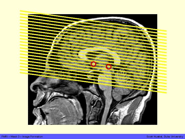 FMRI – Week 3 – Image Formation Scott Huettel, Duke University 