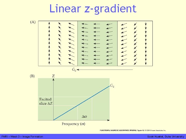 Linear z-gradient FMRI – Week 3 – Image Formation Scott Huettel, Duke University 