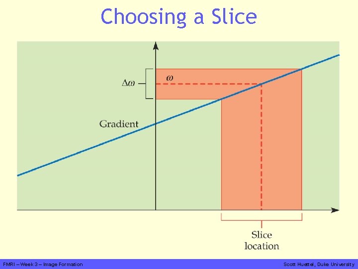 Choosing a Slice FMRI – Week 3 – Image Formation Scott Huettel, Duke University