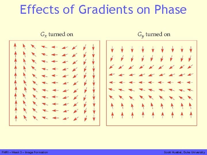 Effects of Gradients on Phase FMRI – Week 3 – Image Formation Scott Huettel,