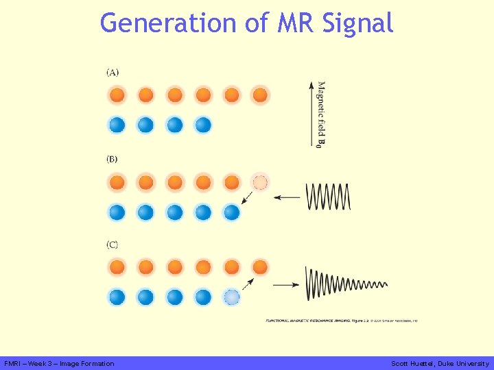 Generation of MR Signal FMRI – Week 3 – Image Formation Scott Huettel, Duke