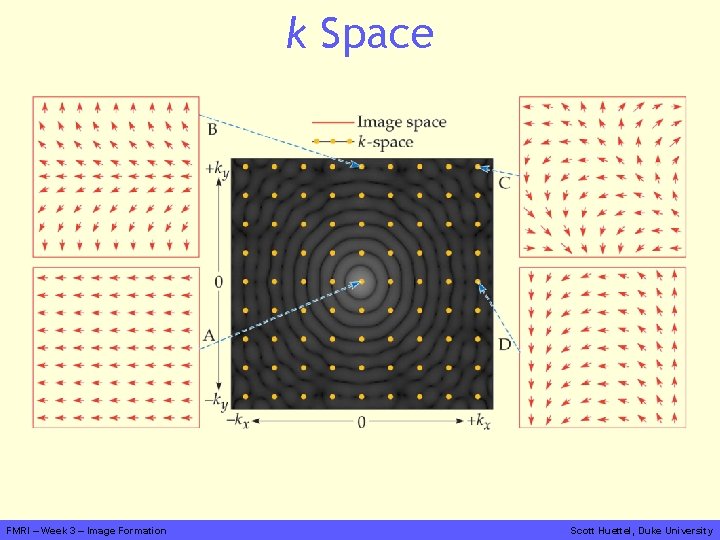 k Space FMRI – Week 3 – Image Formation Scott Huettel, Duke University 