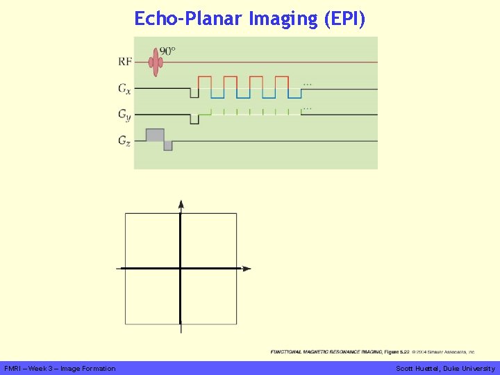 Echo-Planar Imaging (EPI) FMRI – Week 3 – Image Formation Scott Huettel, Duke University