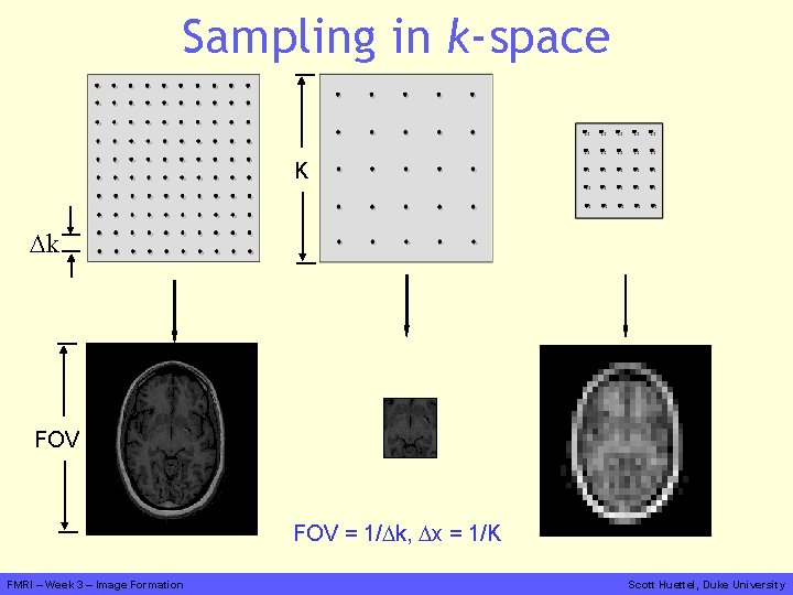 Sampling in k-space K Dk FOV = 1/Dk, Dx = 1/K FMRI – Week