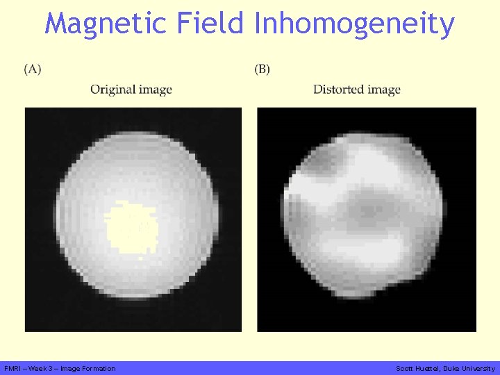 Magnetic Field Inhomogeneity FMRI – Week 3 – Image Formation Scott Huettel, Duke University