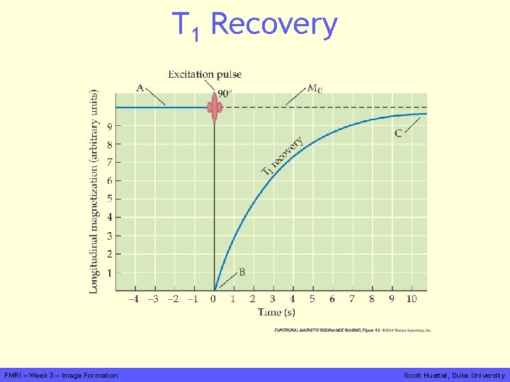 T 1 Recovery FMRI – Week 3 – Image Formation Scott Huettel, Duke University